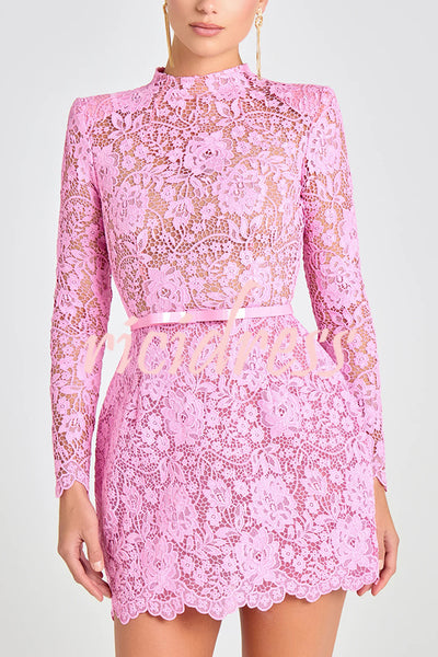 Champagne Toast Flower Lace Long Sleeve Bow Belted Mini Dress