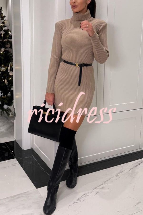 Chilly Morning Ribbed Knit Turtleneck Long Sleeve Mini Dress