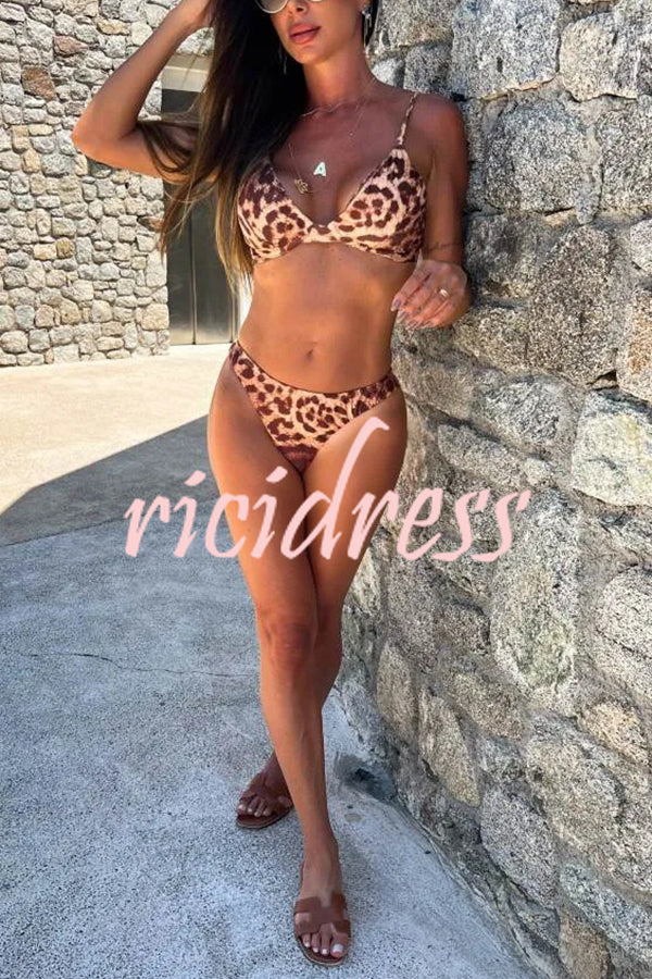 Leopard Print Sexy Stretch Two-piece Bikini Swimsuit