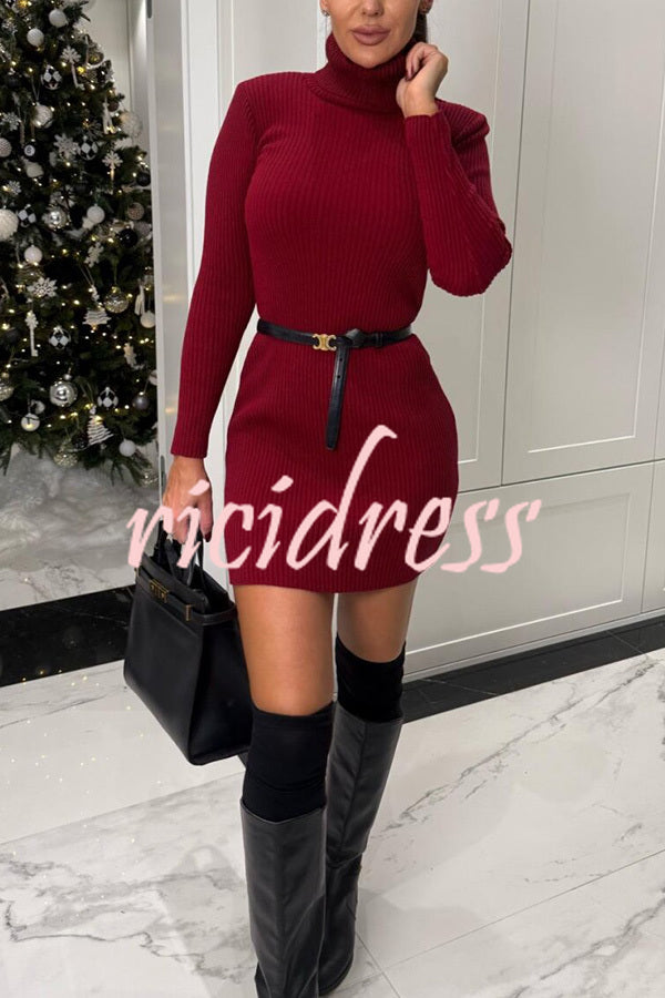 Chilly Morning Ribbed Knit Turtleneck Long Sleeve Mini Dress