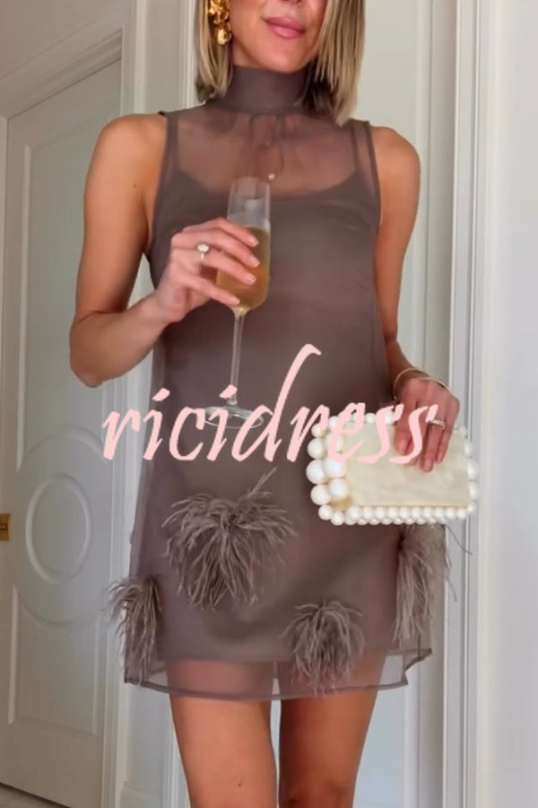 Playful Charm Sheer Chiffon Embellished Feather Back Bow H-line Mini Dress