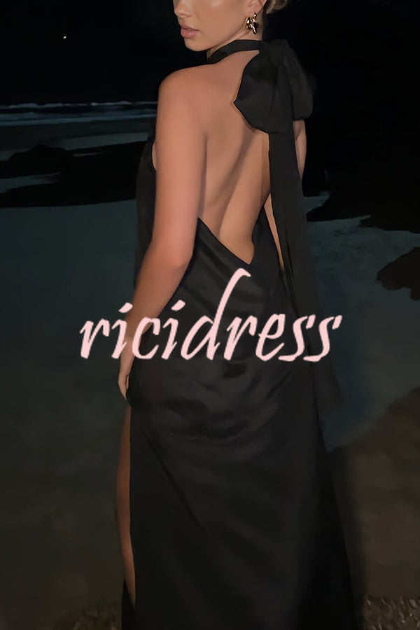 Floral Embellished Satin Halterneck Backless Resort Maxi Dress