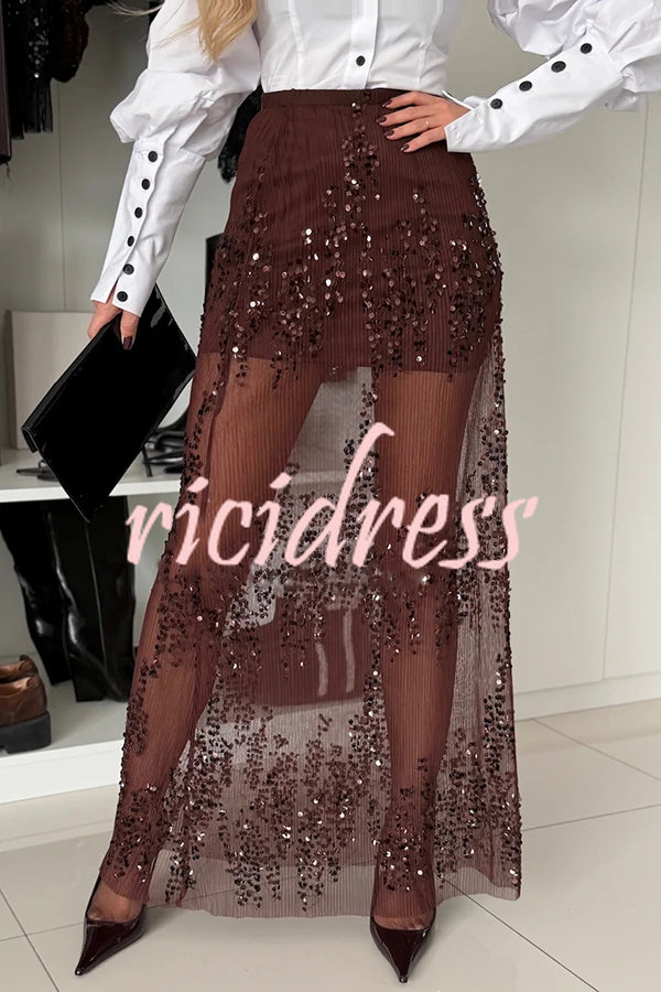 Darling Details Sequin Embroidered Tulle High Rise Elastic Waist Maxi Skirt