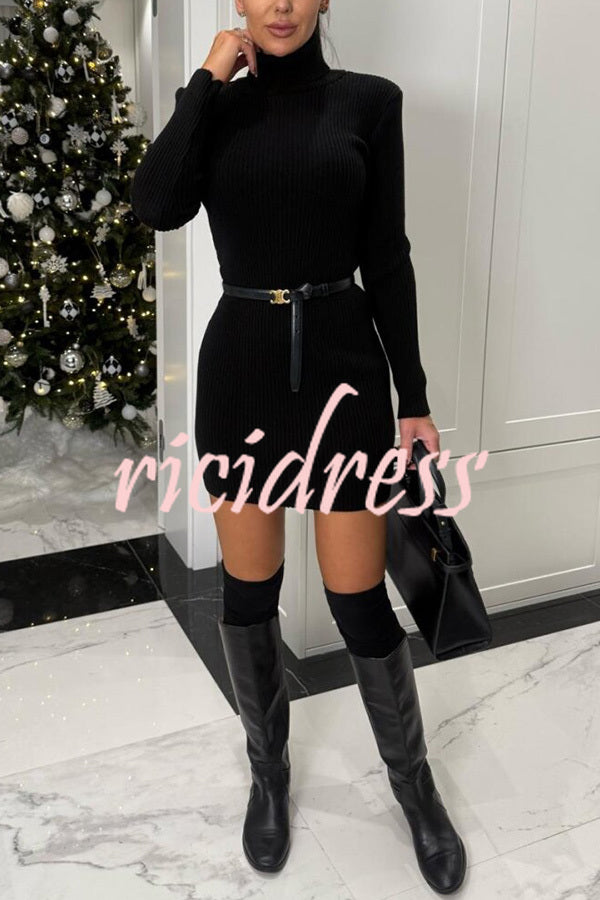 Chilly Morning Ribbed Knit Turtleneck Long Sleeve Mini Dress