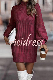 Rieuh Turtleneck Long Sleeve Knitted Mini Dress