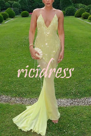 Perfect Night Sequin Embroidery Backless Drape Tulle Hem Slip Maxi Dress
