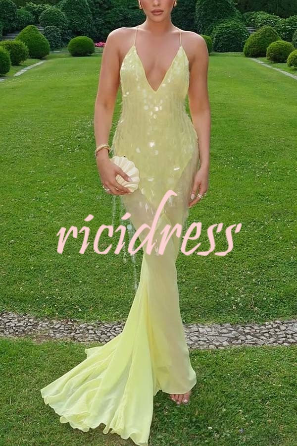 Perfect Night Sequin Embroidery Backless Drape Tulle Hem Slip Maxi Dress