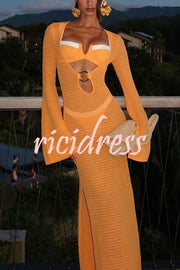 Seaside Goddess Crochet Knit Hollow Out Golden Ring Long Sleeve Cover-up Maxi Dress