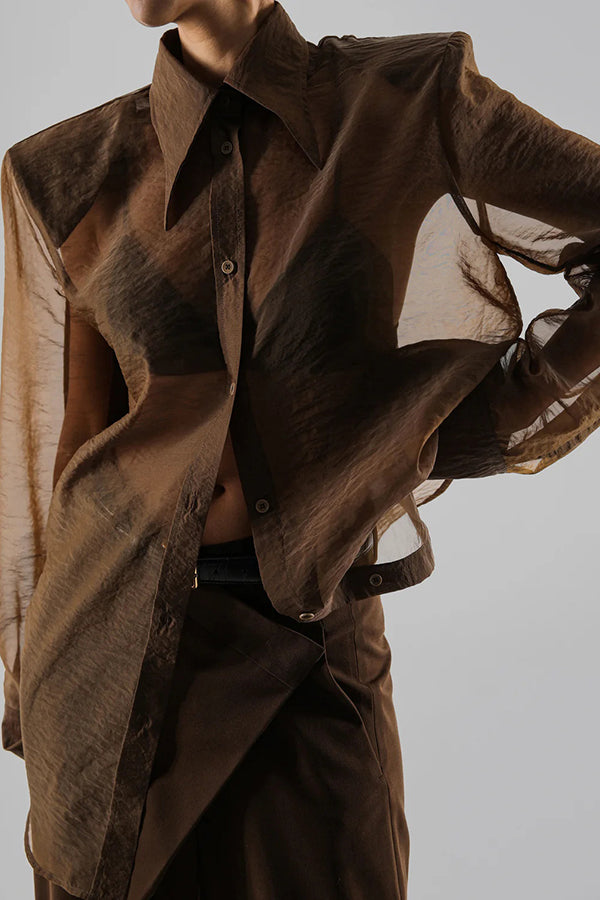 Retro Sheer Loose Long-sleeved Casual Shirt