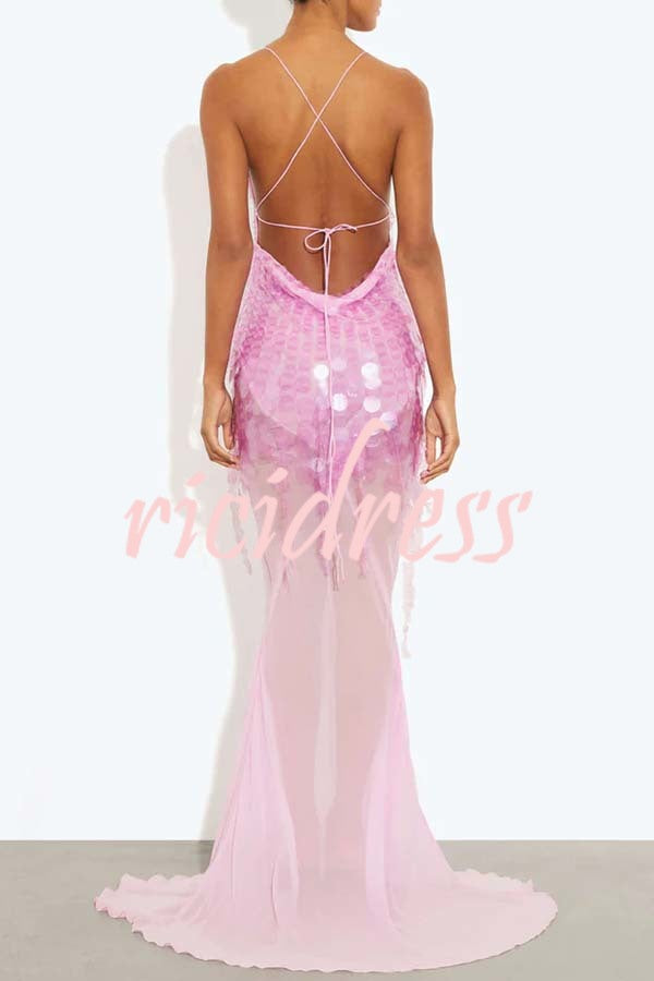 Perfect Night Sequin Embroidery Backless Drape Tulle Hem Slip Maxi Dress