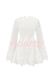 Diaz Embroidery Hollow Fabric Delicate Flower Trim Long Sleeve Side Lace-up Mini Dress