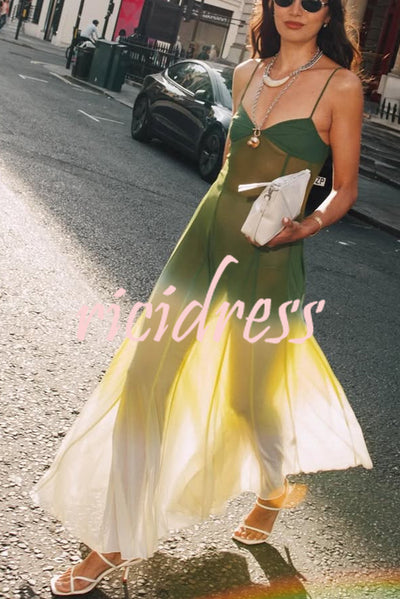 Spicy Margarita See-through Tulle Ombre Print Slip Maxi Dress