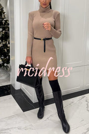 Chilly Morning Ribbed Knit Turtleneck Long Sleeve Mini Dress