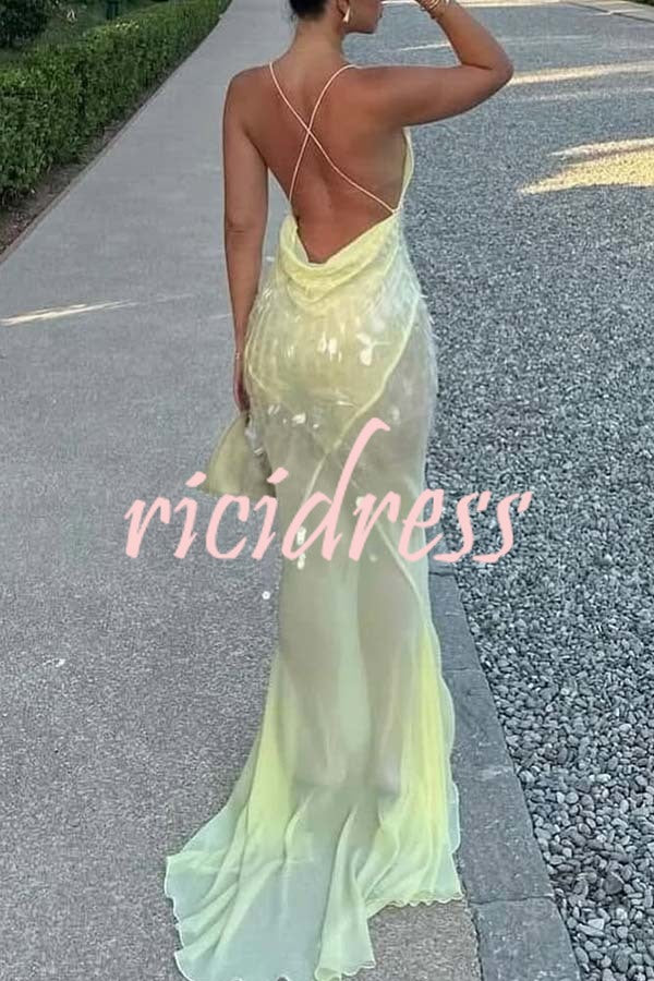 Perfect Night Sequin Embroidery Backless Drape Tulle Hem Slip Maxi Dress