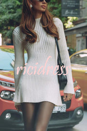 Beautiful Basic Ribbed Knit Long Slit Sleeve Flare Stretch Dress