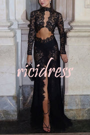 Dark Night Charm Sheer Lace Cutout Long Sleeve Stretch Maxi Dress