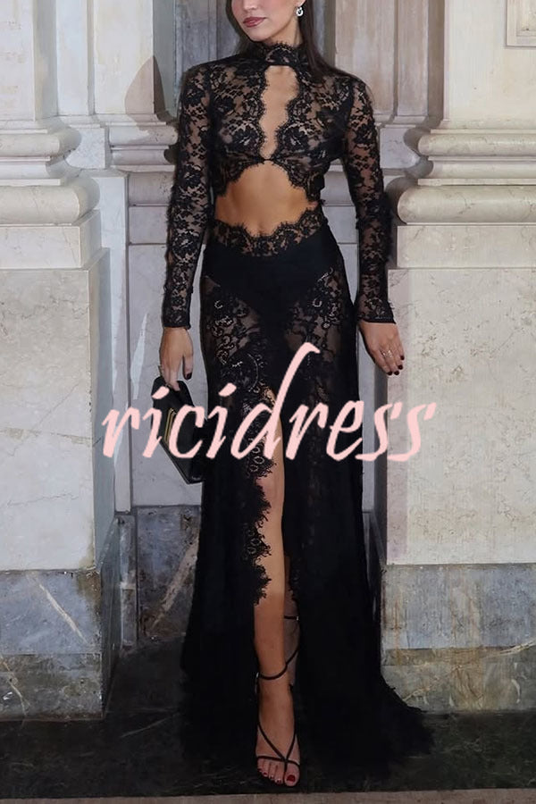 Dark Night Charm Sheer Lace Cutout Long Sleeve Stretch Maxi Dress