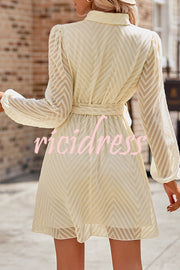 Striped Lace Cutout Belted Long Sleeve Mini Dress