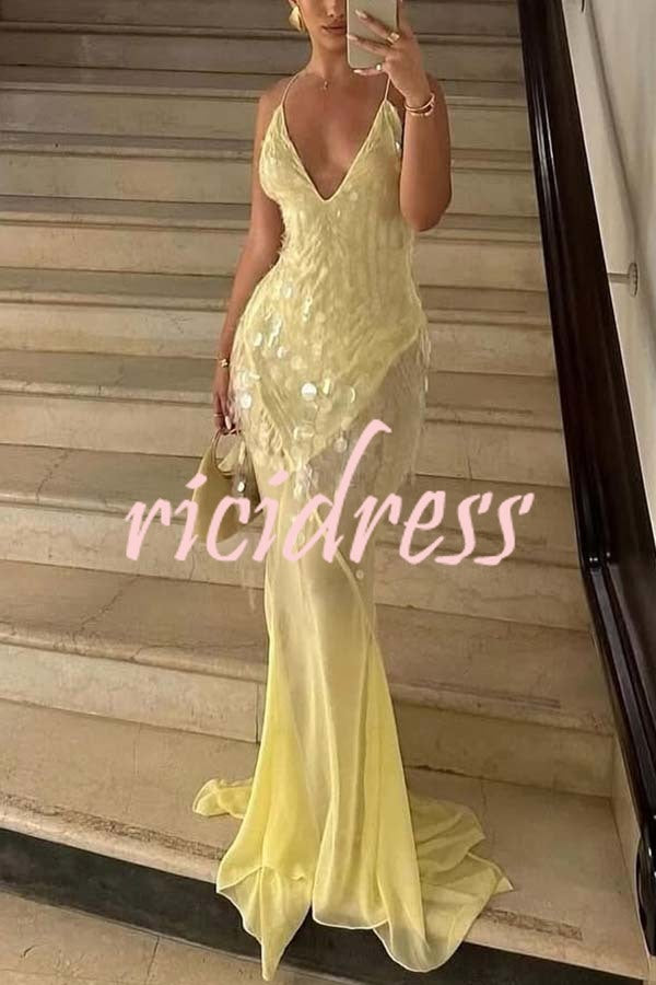 Perfect Night Sequin Embroidery Backless Drape Tulle Hem Slip Maxi Dress