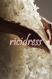 Stylish Backless Bow Elegant Butterfly Loose Mini Dress