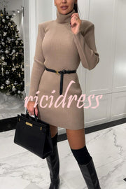 Chilly Morning Ribbed Knit Turtleneck Long Sleeve Mini Dress