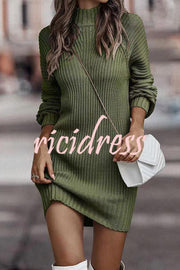 Rieuh Turtleneck Long Sleeve Knitted Mini Dress
