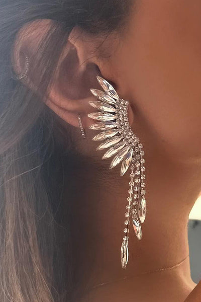Tassel Full Diamond Earrings