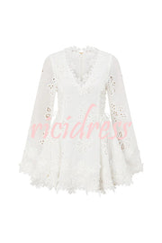 Diaz Embroidery Hollow Fabric Delicate Flower Trim Long Sleeve Side Lace-up Mini Dress