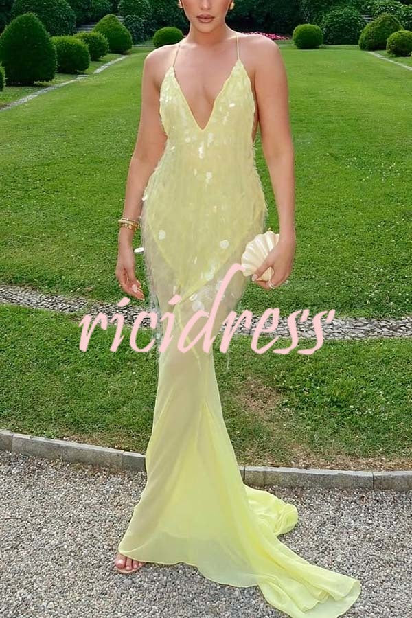 Perfect Night Sequin Embroidery Backless Drape Tulle Hem Slip Maxi Dress