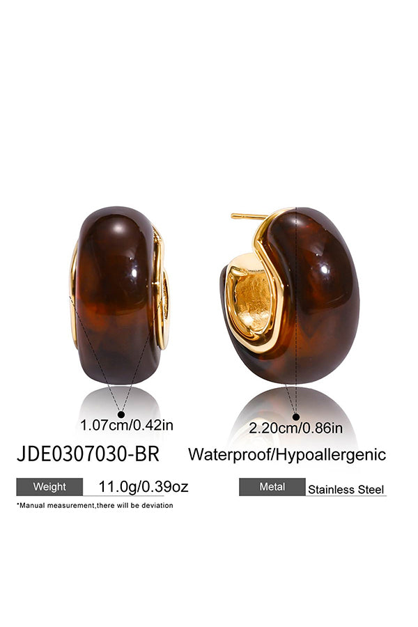 Stylish and Luxurious Titanium Steel Resin Earrings