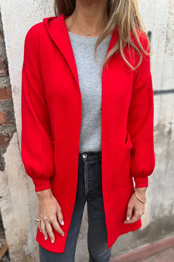 Solid Color Casual Hooded Long Sleeve Pocket Loose Jacket
