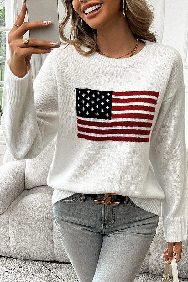 Flag Pattern Knitted Casual Crewneck Long Sleeve Sweater