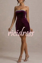 Effortlessly Elegant Velvet Jewel Embellished Trim Bandeau Mini Dress