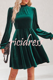 Turtleneck Long Sleeve Velvet Mini Dress