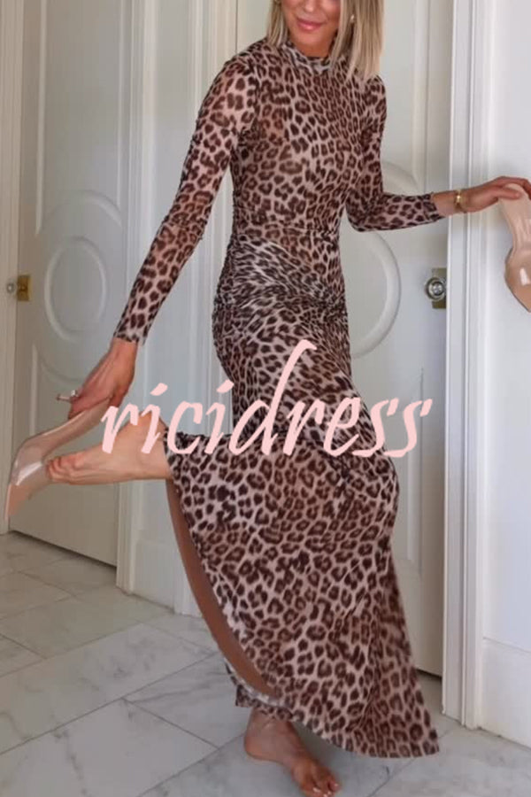Revina Mesh Leopard Print Mock Neck Gathered Waist Long Sleeve Stretch Midi Dress