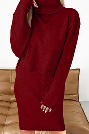 Solid Color Turtleneck Sweater and Knee Length Dress Set