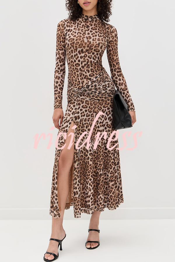 Revina Mesh Leopard Print Mock Neck Gathered Waist Long Sleeve Stretch Midi Dress