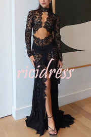 Dark Night Charm Sheer Lace Cutout Long Sleeve Stretch Maxi Dress