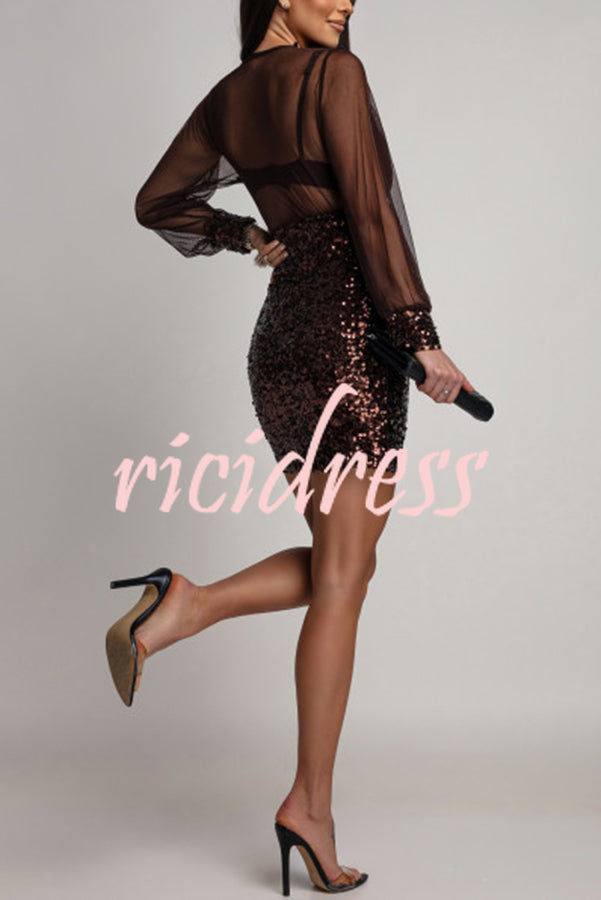 Whisper and Wine Sheer Tulle Sequin Patchwork V-neck Long Sleeve Mini Dress