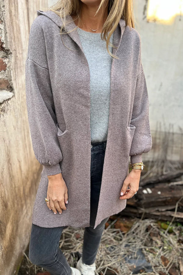 Solid Color Casual Hooded Long Sleeve Pocket Loose Jacket