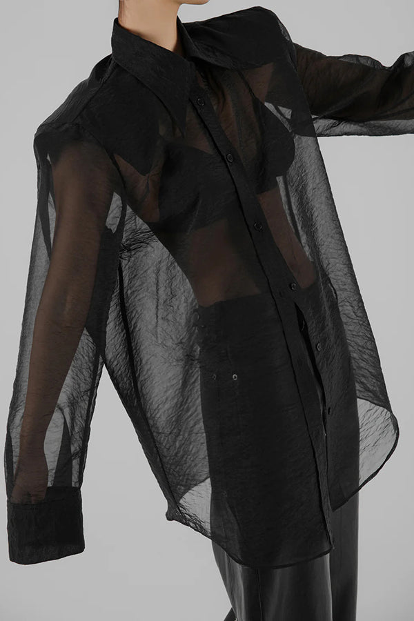 Retro Sheer Loose Long-sleeved Casual Shirt