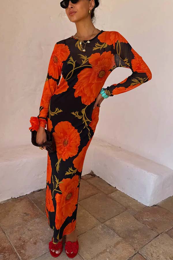 Perfect Cross-season Mesh Poppy Flower Print Long Sleeve Stretch Maxi Dress