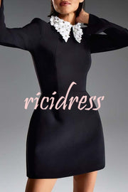 Alisha Contrast Floral Appliqué Pointed Collar Long Sleeve Pocketed Mini Dress